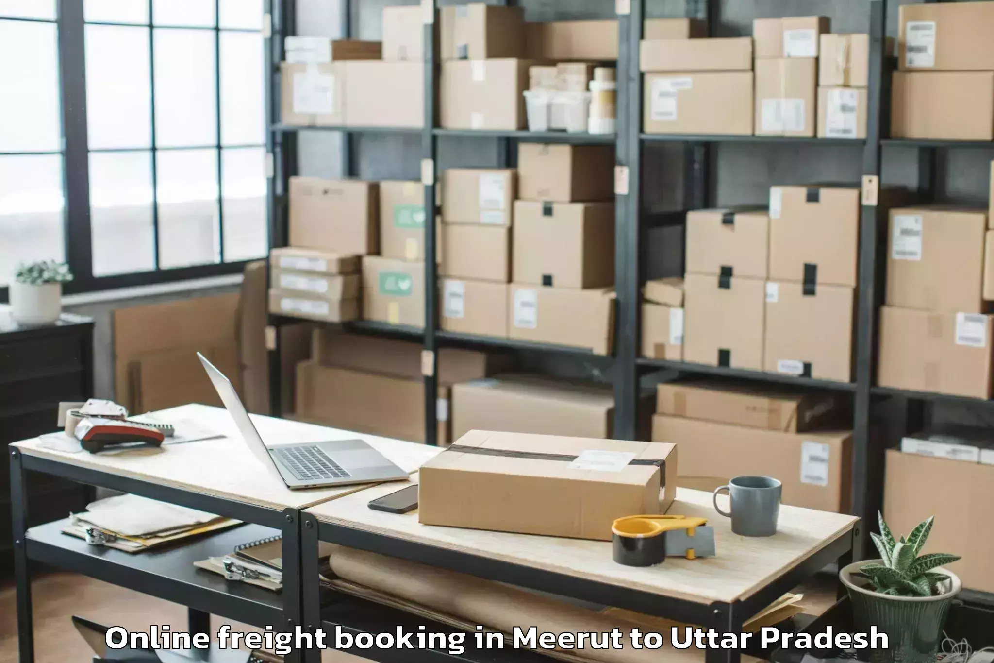 Get Meerut to Pinahat Online Freight Booking